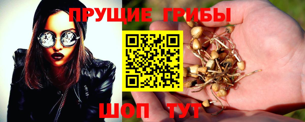 Псилоцибиновые грибы прущие грибы Ковров
