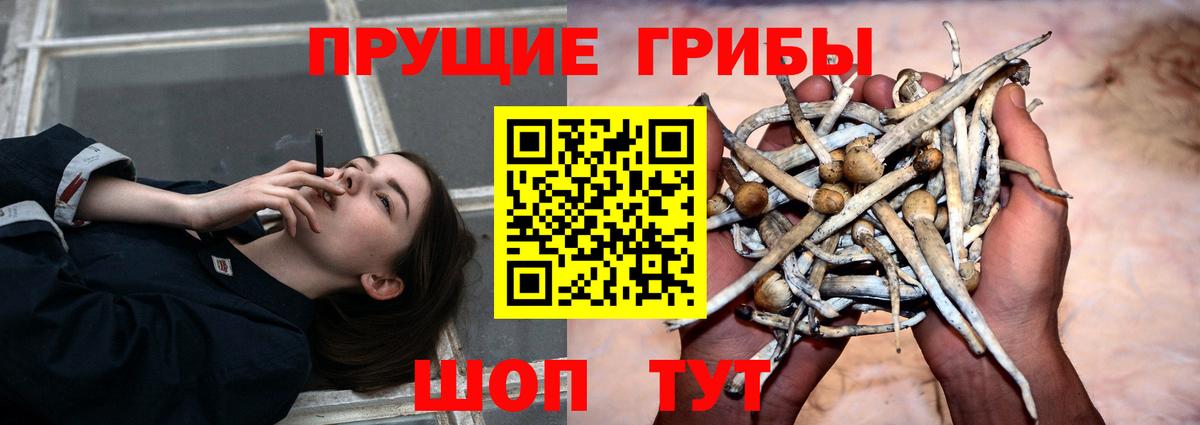 Ковров  Галлюциногенные грибы MAGIC MUSHROOMS  Псилоцибиновые грибы прущие грибы  Вход с VPN 